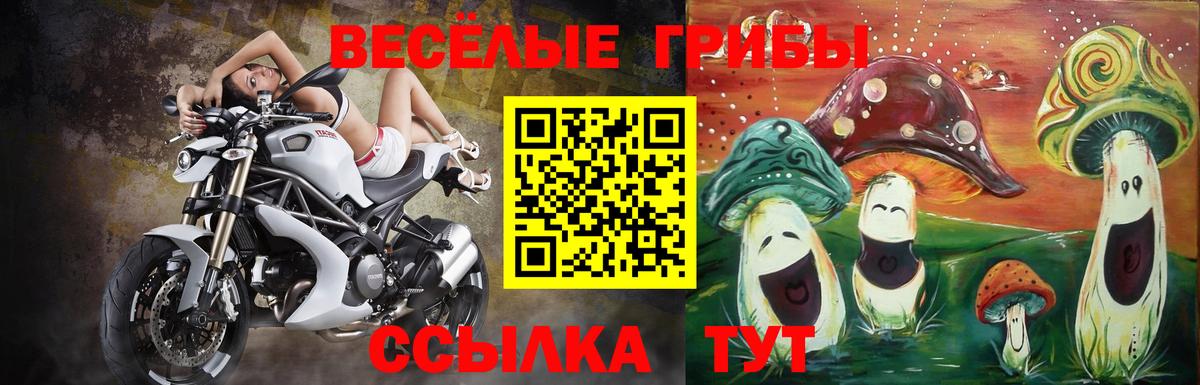 Галлюциногенные грибы GOLDEN TEACHER  Псилоцибиновые грибы Magic Shrooms  Дивногорск  Вход с VPN 